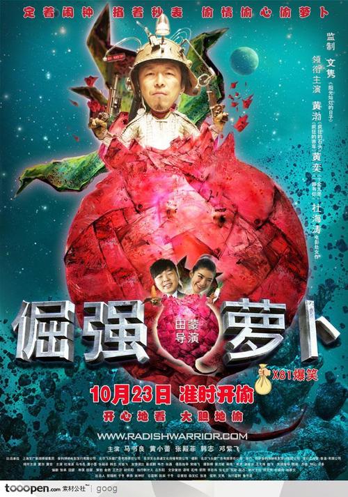 共生大学公共管理文凭证书